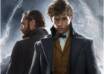 Fantastic Beasts