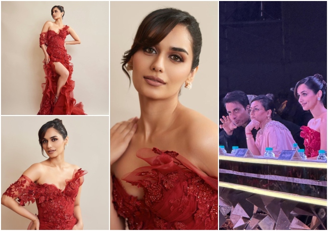मानुषी छिल्लर, Manushi Chillar