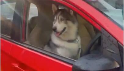 तस्वीर - X